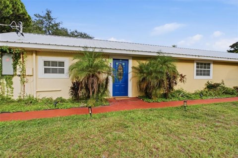 Villa ou maison à vendre à Tampa, Floride: 4 chambres, 167.69 m2 № 2431038 - photo 24