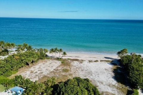 Terreno en venta en Vero Beach, Florida № 2054442 - foto 3