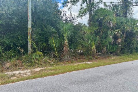 Land in North Port, Florida № 2229056 - photo 4