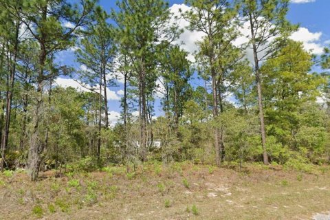 Land in Citrus Springs, Florida № 2294737