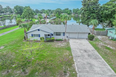 Villa ou maison à vendre à Eustis, Floride: 3 chambres, 123.37 m2 № 2342127 - photo 3