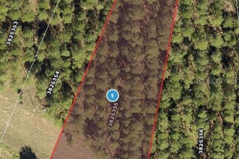 Terreno en venta en Montverde, Florida № 2316660 - foto 4