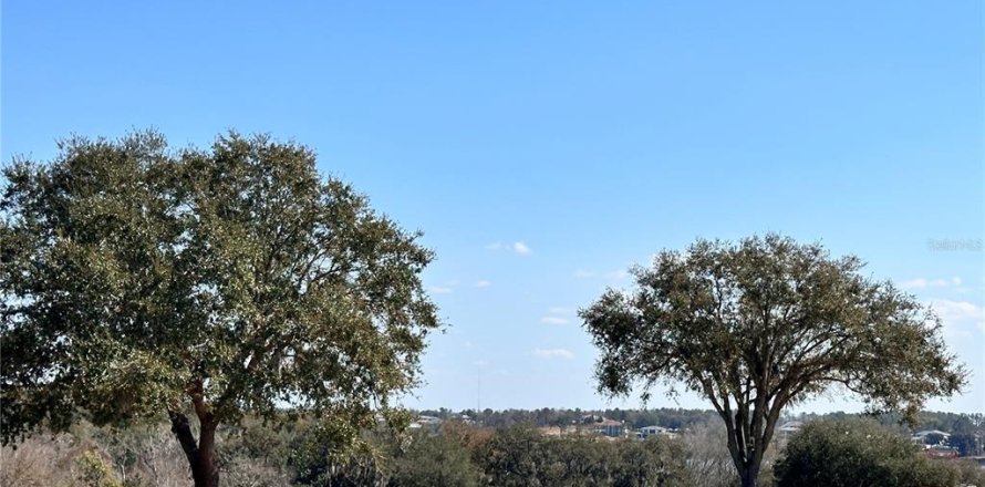 Terreno en Montverde, Florida № 2316660