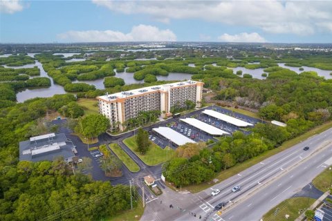 Condo in Saint Petersburg, Florida, 2 bedrooms  № 2094316 - photo 24