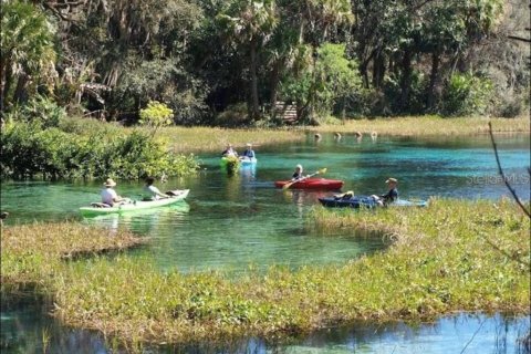 Land in Citrus Springs, Florida № 2161493 - photo 15