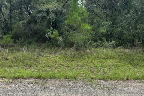 Land in Citrus Springs, Florida № 2161493