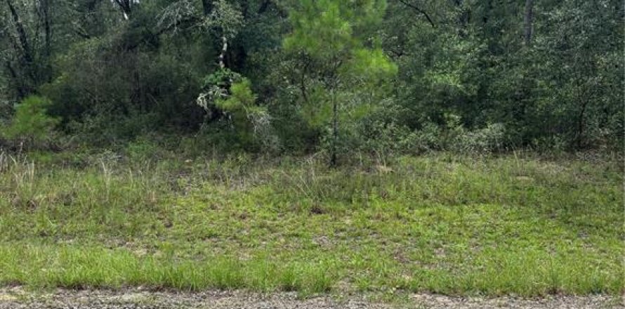 Land in Citrus Springs, Florida № 2161493