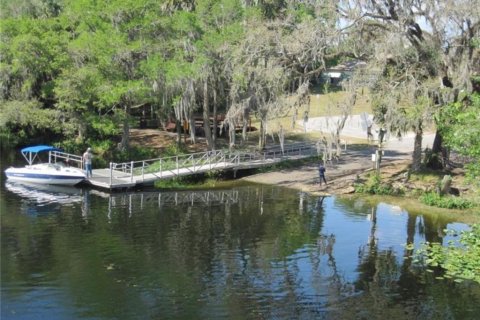 Land in Citrus Springs, Florida № 2161493 - photo 11