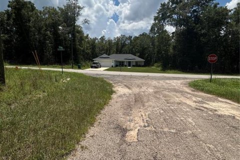 Land in Citrus Springs, Florida № 2161493 - photo 3