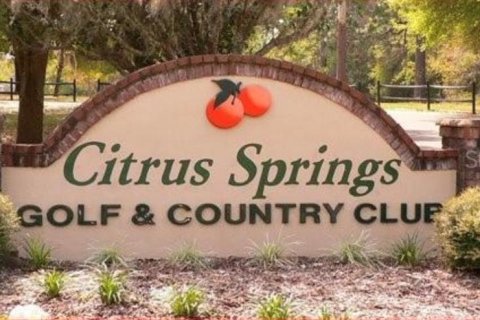 Land in Citrus Springs, Florida № 2161493 - photo 6