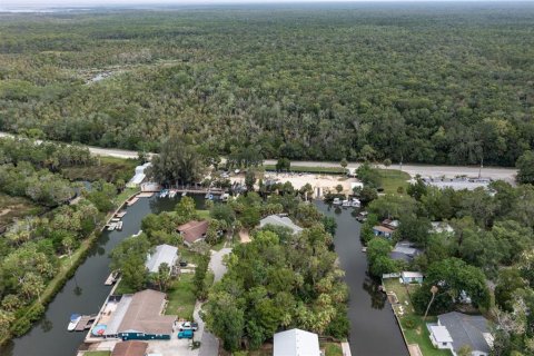 Land in Weeki Wachee, Florida № 1625310 - photo 26