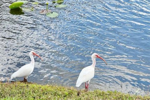Villa ou maison à vendre à Tampa, Floride: 3 chambres, 137.5 m2 № 2399234 - photo 29