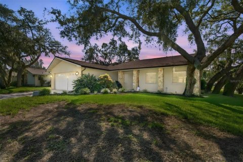 Villa ou maison à Palm Harbor, Floride 3 chambres, 195.75 m2 № 2416976
