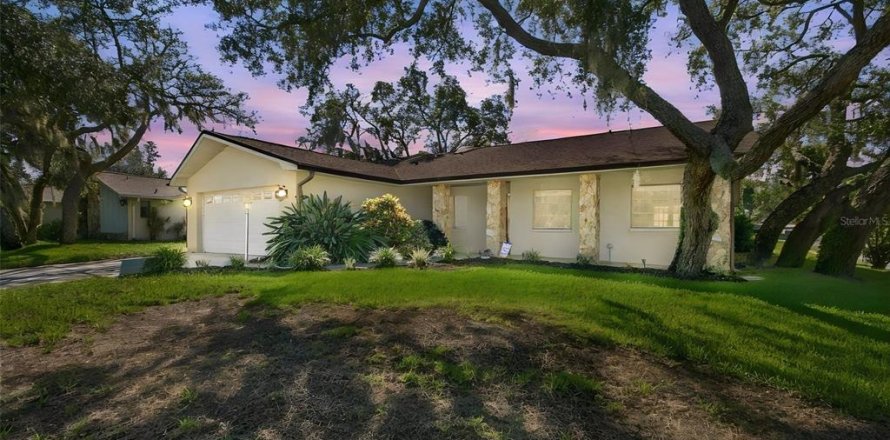 Villa ou maison à Palm Harbor, Floride 3 chambres, 195.75 m2 № 2416976