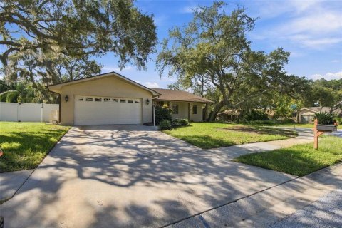 Villa ou maison à vendre à Palm Harbor, Floride: 3 chambres, 195.75 m2 № 2416976 - photo 2