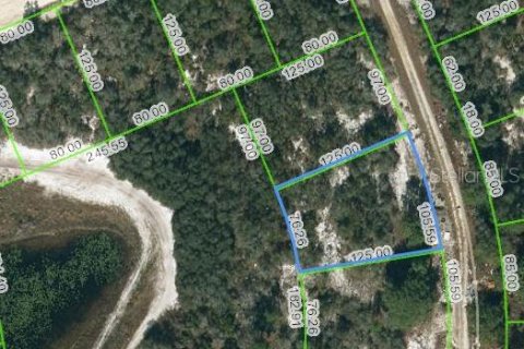 Land in Lake Placid, Florida № 2207841