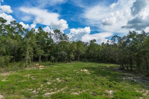Land in Bronson, Florida № 2361249