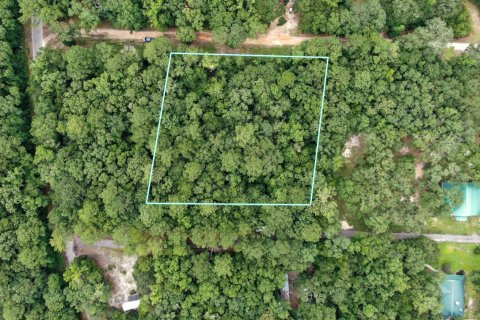 Land in Vernon, Florida № 558511 - photo 1