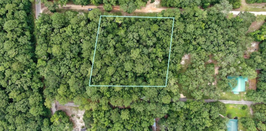 Land in Vernon, Florida № 558511