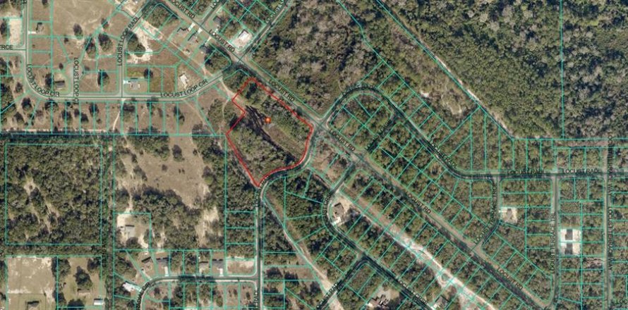 Terrain à Ocala, Floride № 1917348