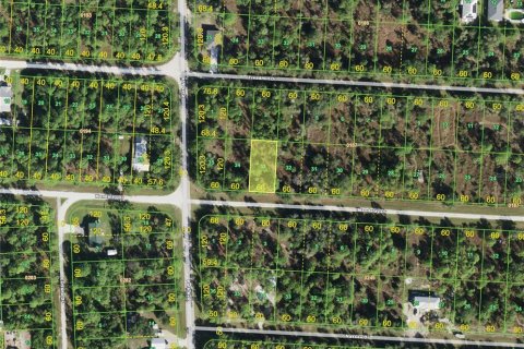 Land in Punta Gorda, Florida № 2393408