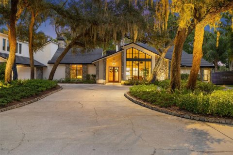 Villa ou maison à vendre à Odessa, Floride: 4 chambres, 430.79 m2 № 1899798 - photo 2