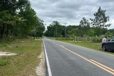 Terreno en venta en Live Oak, Florida № 1914067 - foto 2