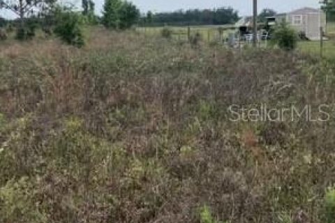 Terreno en venta en Live Oak, Florida № 1914067 - foto 3
