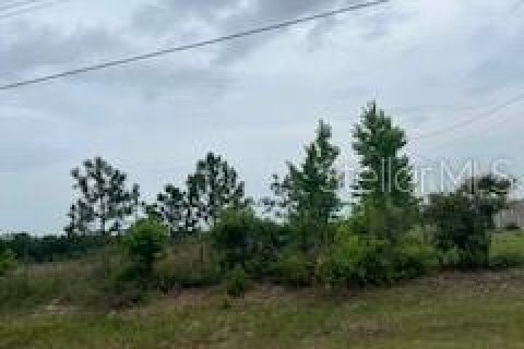 Terreno en venta en Live Oak, Florida № 1914067 - foto 1