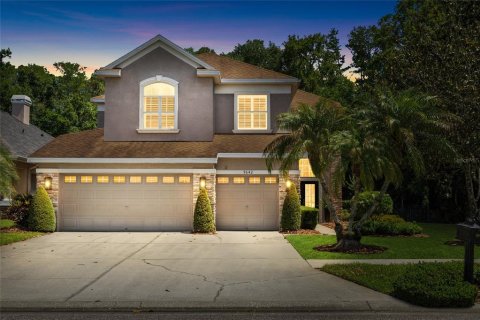 Villa ou maison à Tampa, Floride 4 chambres, 252.14 m2 № 2105055