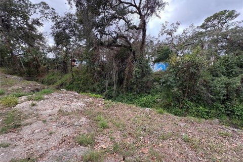 Terrain à vendre à Bradenton, Floride № 1833452 - photo 8
