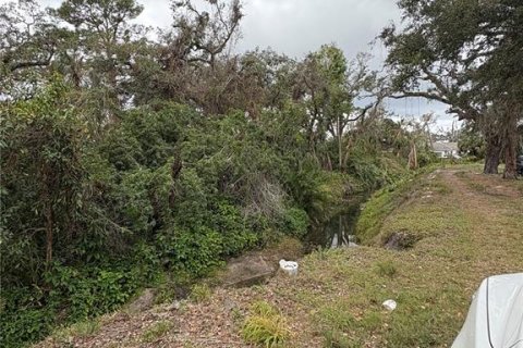 Terrain à vendre à Bradenton, Floride № 1833452 - photo 6