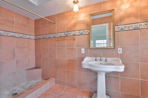 House in Tampa, Florida 4 bedrooms, 186.18 sq.m. № 2195701 - photo 29