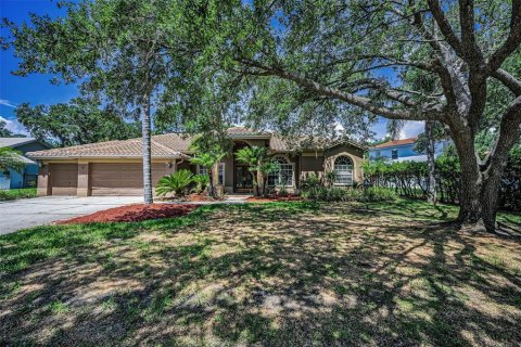 Villa ou maison à louer à Oldsmar, Floride: 4 chambres, 245.45 m2 № 1872879 - photo 4