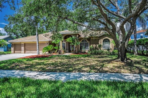 Villa ou maison à louer à Oldsmar, Floride: 4 chambres, 245.45 m2 № 1872879 - photo 2