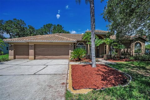 Villa ou maison à louer à Oldsmar, Floride: 4 chambres, 245.45 m2 № 1872879 - photo 6
