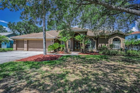 Villa ou maison à louer à Oldsmar, Floride: 4 chambres, 245.45 m2 № 1872879 - photo 7