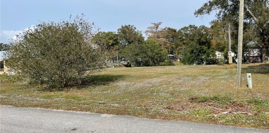 Terreno en Okeechobee, Florida № 1561271
