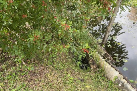Terreno en venta en Okeechobee, Florida № 1561271 - foto 4