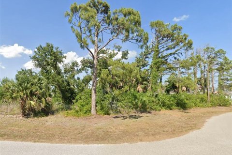 Land in Rotonda, Florida № 2166235