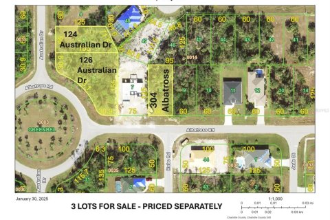 Land in Rotonda, Florida № 2166235 - photo 3