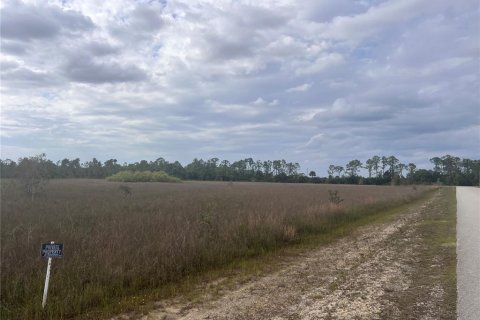 Land in Punta Gorda, Florida № 1401022 - photo 7