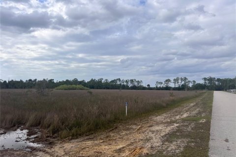 Land in Punta Gorda, Florida № 1401022 - photo 5