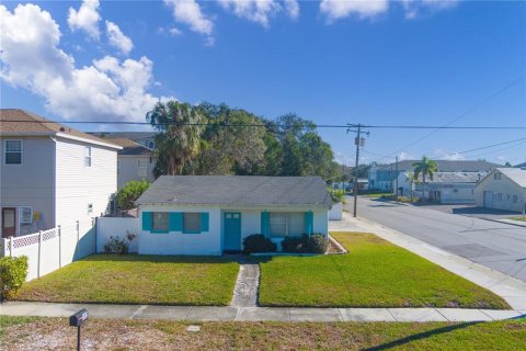 Land in Tampa, Florida № 1548686 - photo 4