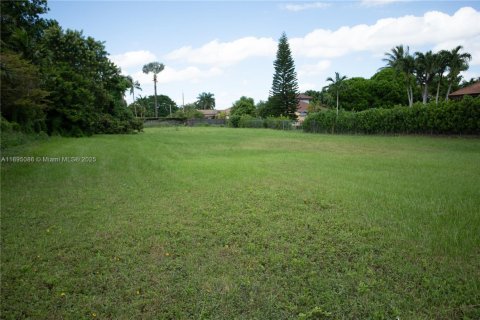 Land in Miami, Florida № 1953671 - photo 1