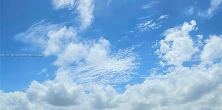 Condo in Miami Beach, Florida, 1 bedroom № 1683387