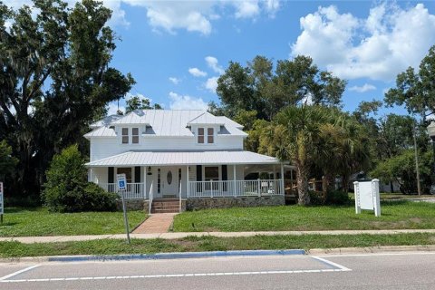 Immobilier commercial à Wauchula, Floride № 2315080