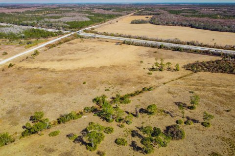 Propiedad comercial en venta en Okeechobee, Florida № 2262300 - foto 8