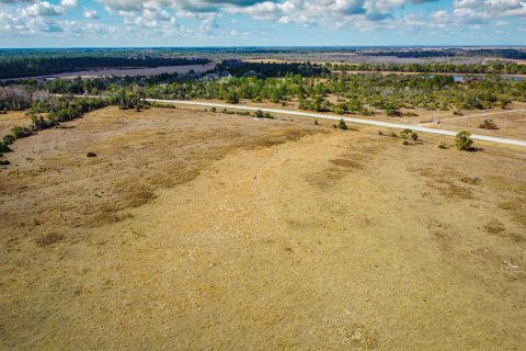 Propiedad comercial en venta en Okeechobee, Florida № 2262300 - foto 13