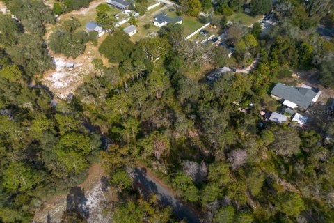Land in Osteen, Florida № 2167223 - photo 11